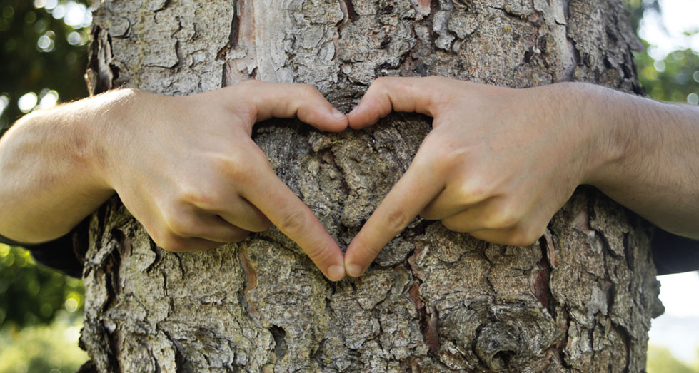 semana-medioambiente