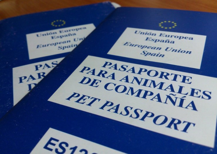 El pasaporte sanitario es, desde hace unos meses, imprescindible para poder viajar Imagen: Mascotour