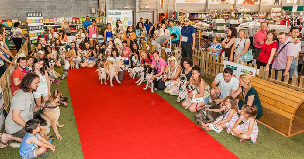 concurso-canino-parquesur