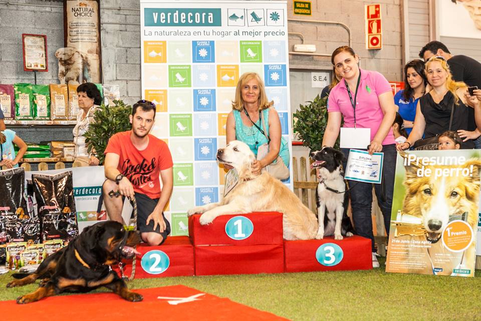 concurso-canino-verdecora-parquesur-obediente
