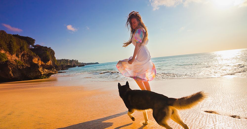 cuidados-mascota-verano-verdecora