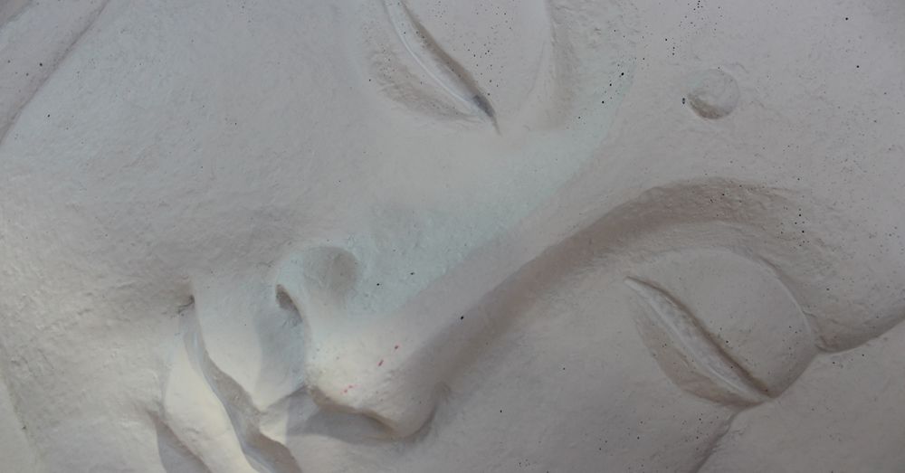 jardin-zen-verdecora-compressor