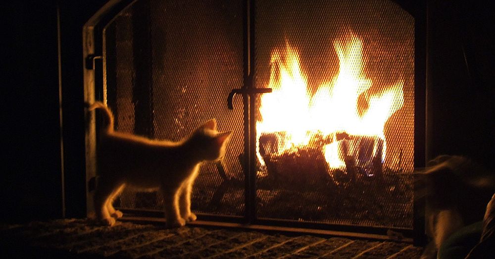 chimenea-limpieza-invierno