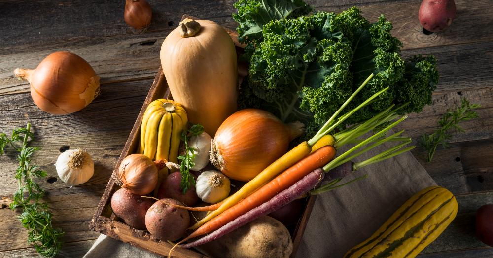 Huerto en invierno: cuidados y cultivos