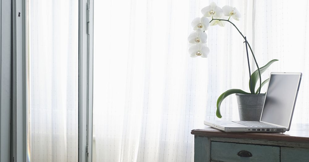 decorar-con-orquideas-verdecora