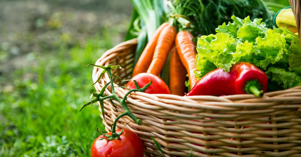 7 Motivos para tener tu propio huerto