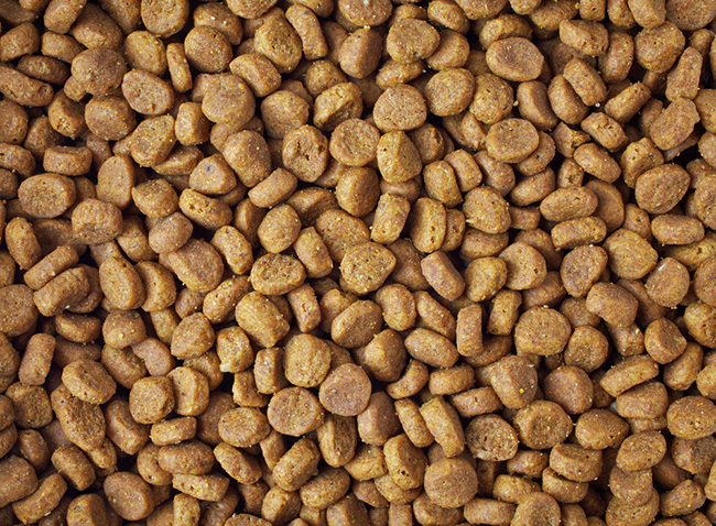 La alimentación natural es clave para un perro sano