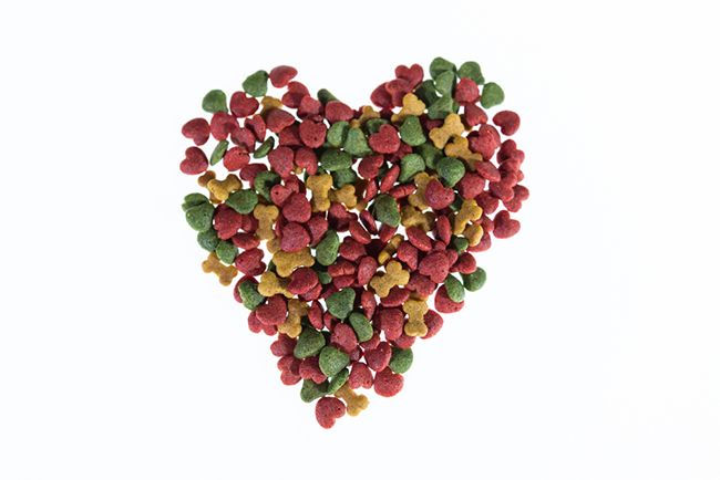 Alimentación saludable para perro