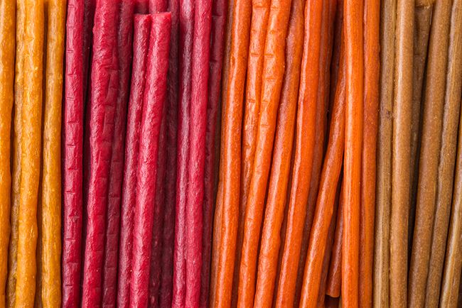 Alimentación saludable para perro