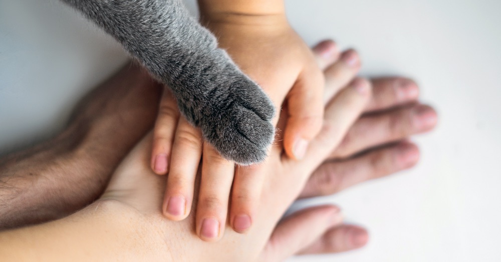 Regalos perfectos para el Día del Padre
