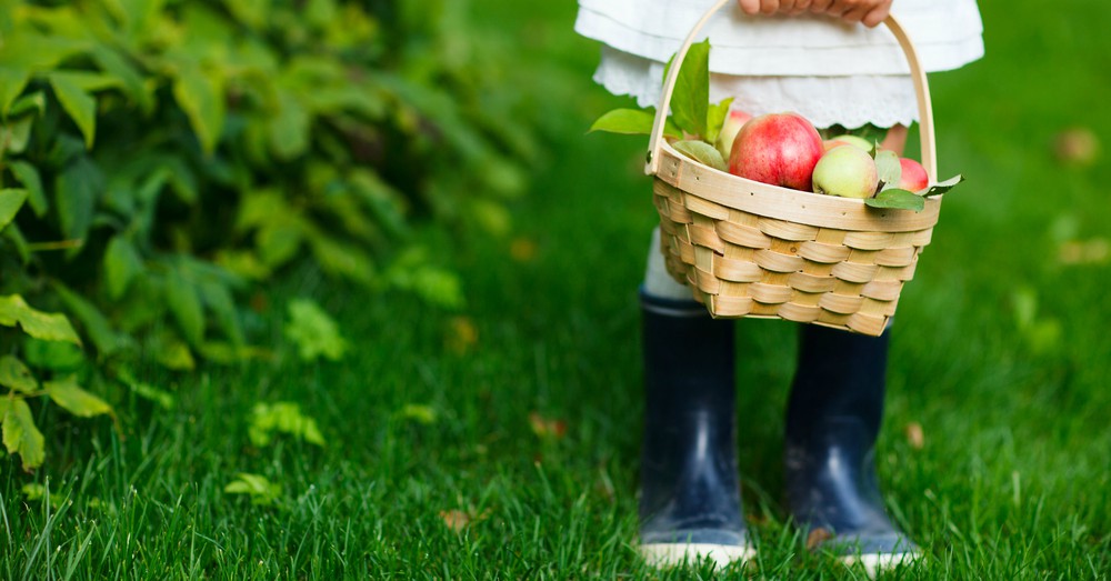 Concurso fotografía huerto Verdecora