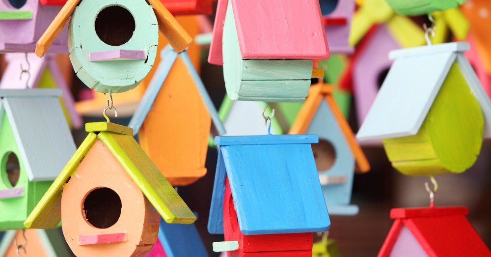 Cuidados de las aves en verano