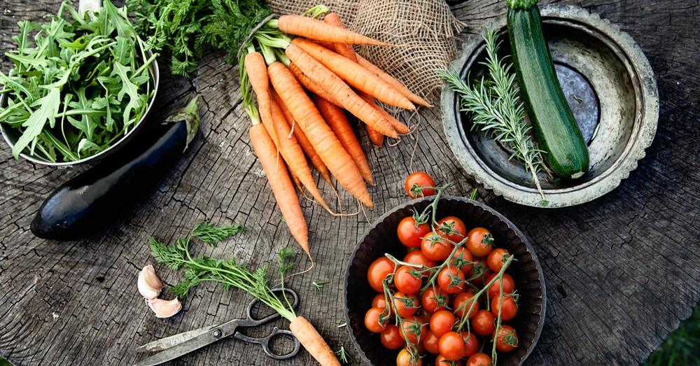 labores-huerto-agosto