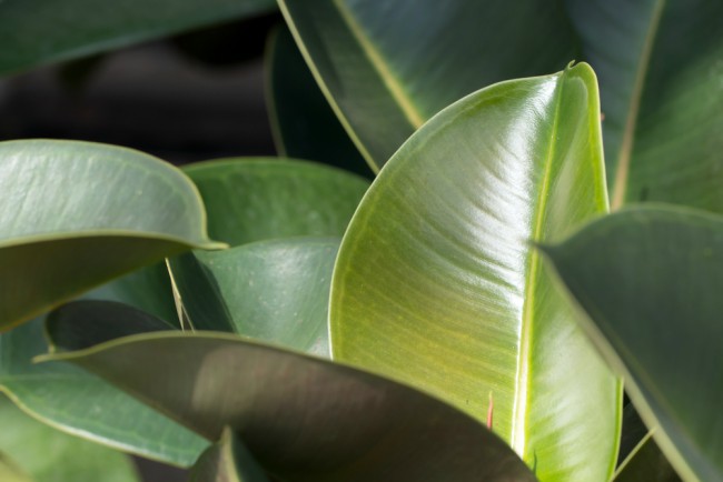 Disponible aquí en nuestra tienda online