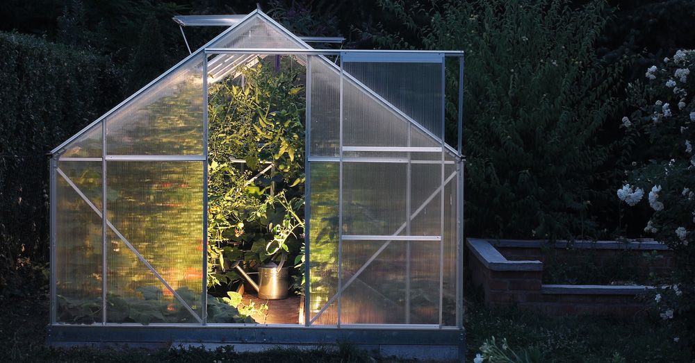 elegir-invernadero-huerto