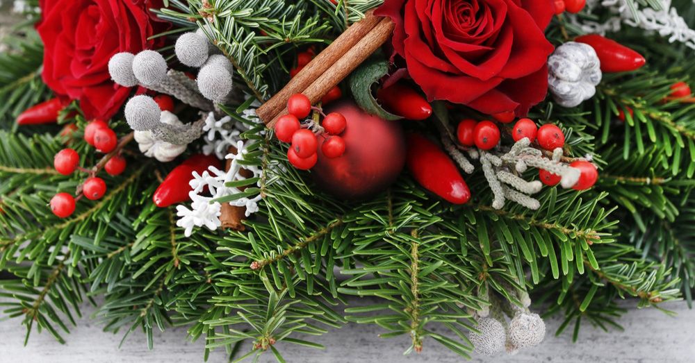Plantas para la mesa de Navidad