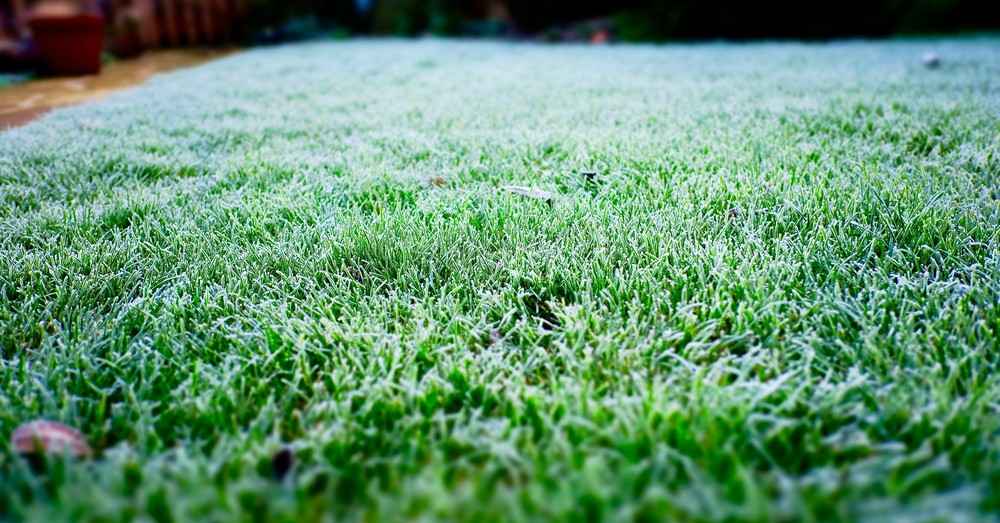Cuidados del césped en invierno