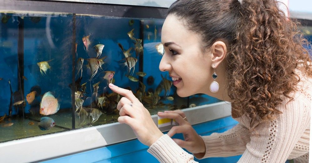 Guía para iniciarse en la acuariofilia