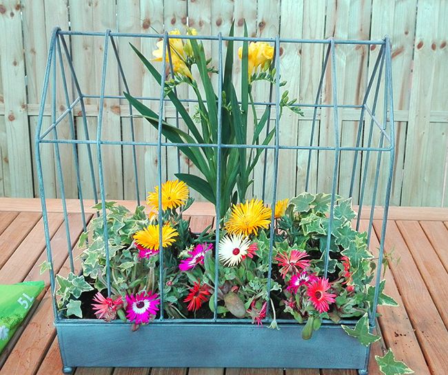 Hacer centro con plantas