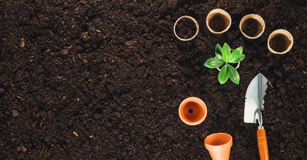 Cómo hacer un huerto