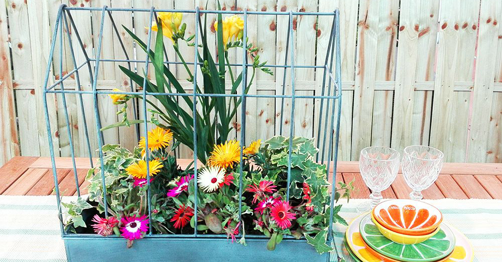 DIY Un centro original para tu mesa con plantas