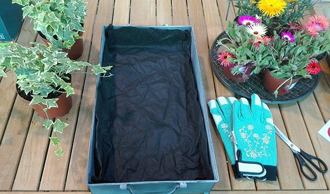 Hacer un centro de plantas paso a paso