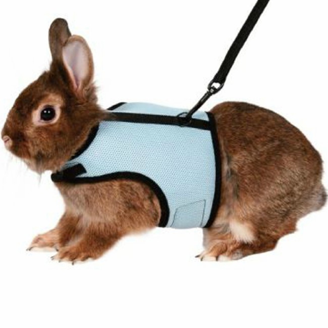 Arnés para conejos y cobayas