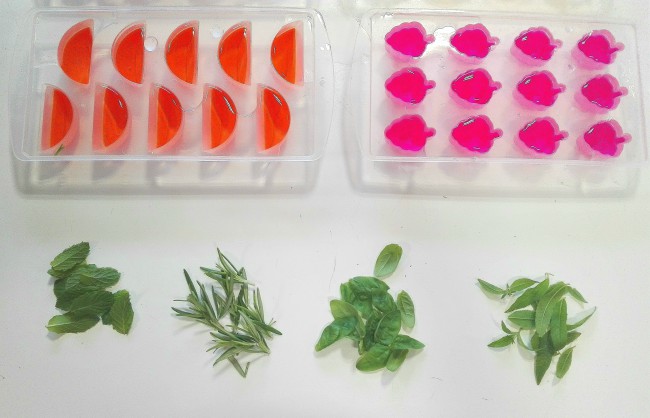 Cubitos de hielo con aromáticas