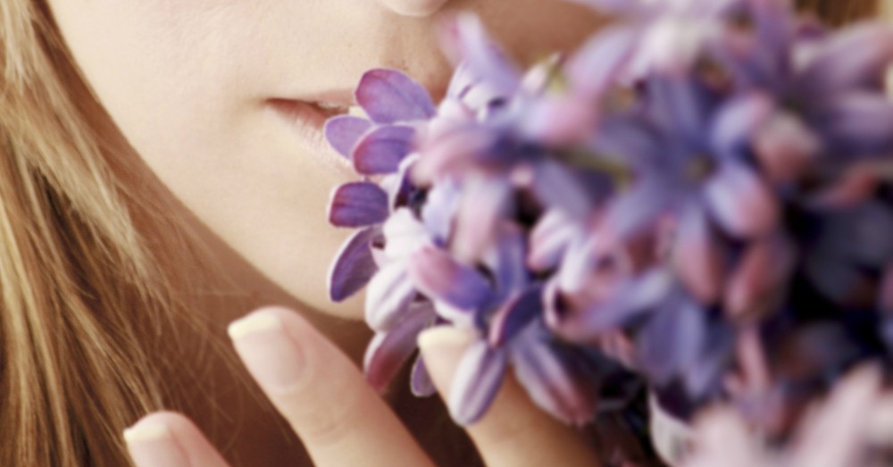 Oler plantas de verano