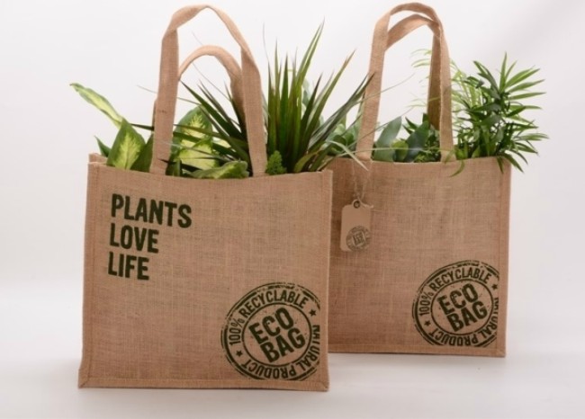 Bolsa ecológica con plantas de interior