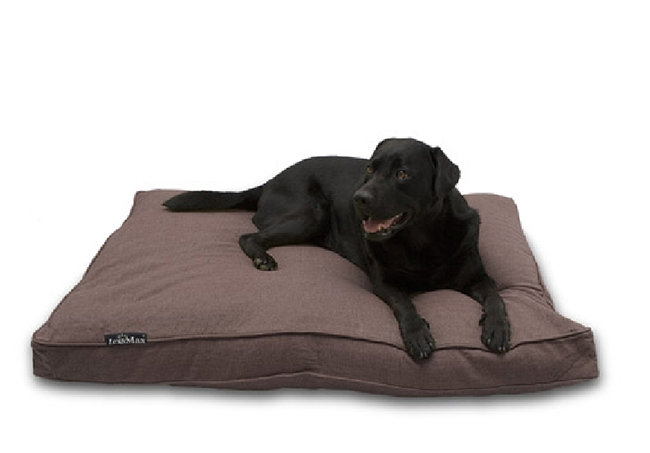Camas para perros