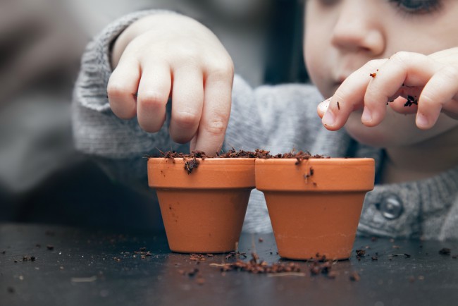 Plantar bulbos con niños