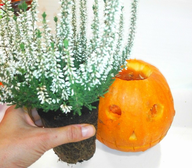 Como hacer una calabaza de Halloween