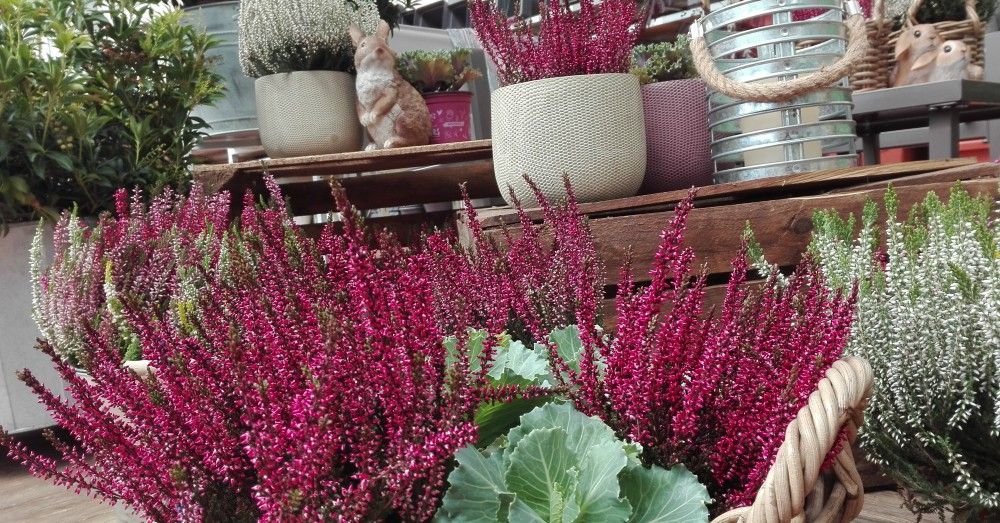 Decoración de otoño 2017