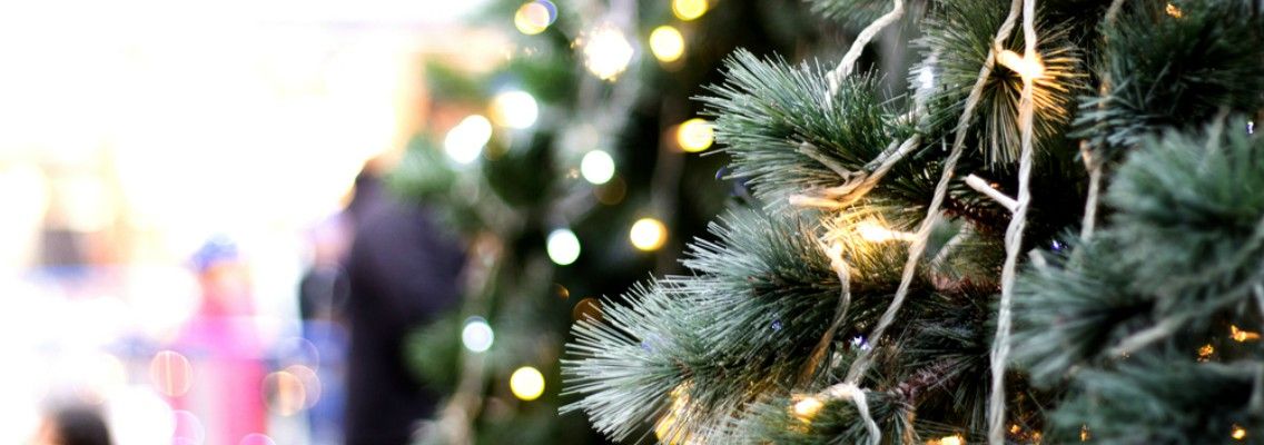 Elegir árbol de Navidad