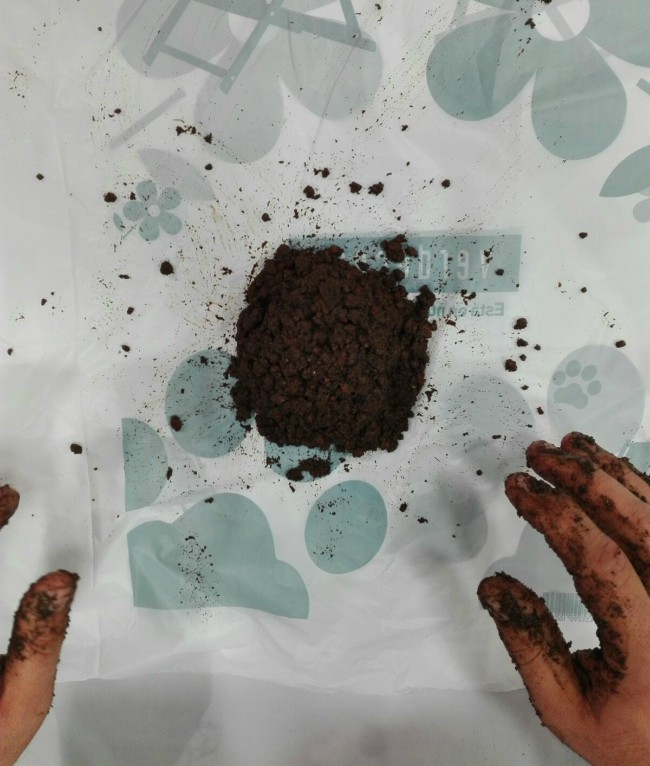 Cómo hacer kokedamas