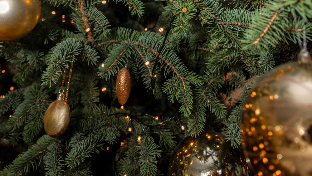 Abeto de Navidad: cuidados y mantenimiento en casa