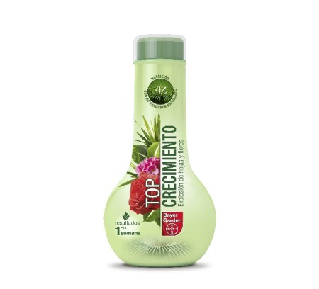 Abono para plantas de interior en invierno