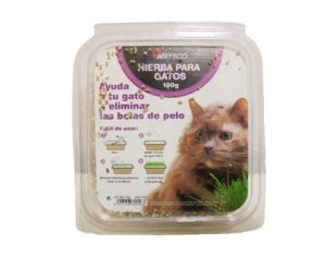 Hierba natural para gatos