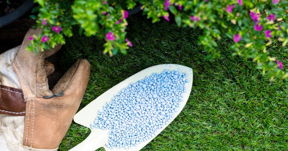 Tipos de abonos para plantas: cómo elegir el adecuado