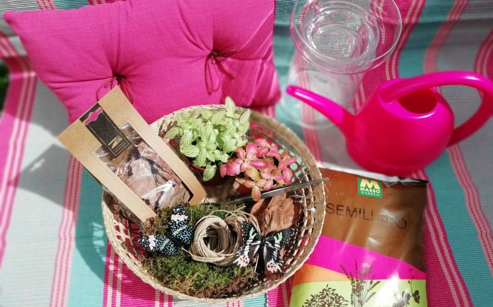 DIY Cómo hacer un terrario de plantas en casa