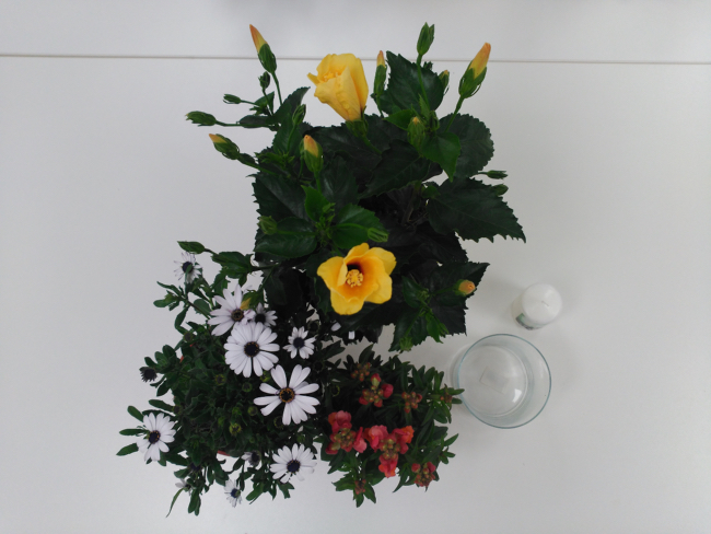 Materiales para decoración con velas y flores silvestres