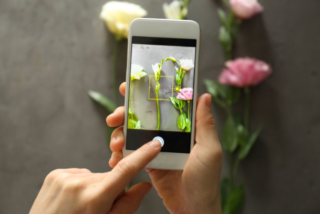 Cómo hacer fotos de flores
