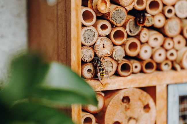 Casitas para insectos, una forma de tener a raya las plagas en plantas en primavera.