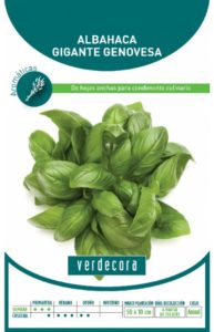 Semillas de albahaca Verdecora