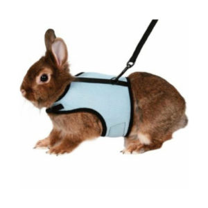 Arnés para conejos