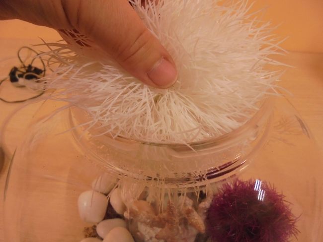 Tutorial para decoración de acuarios