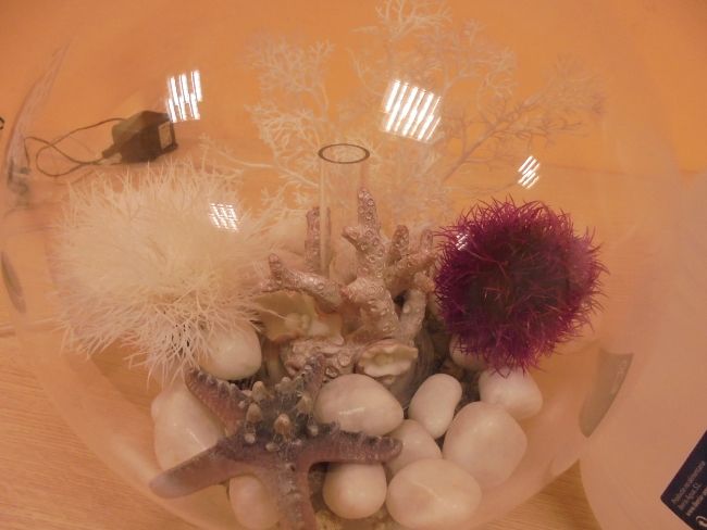 Decoración de acuarios para pez Betta