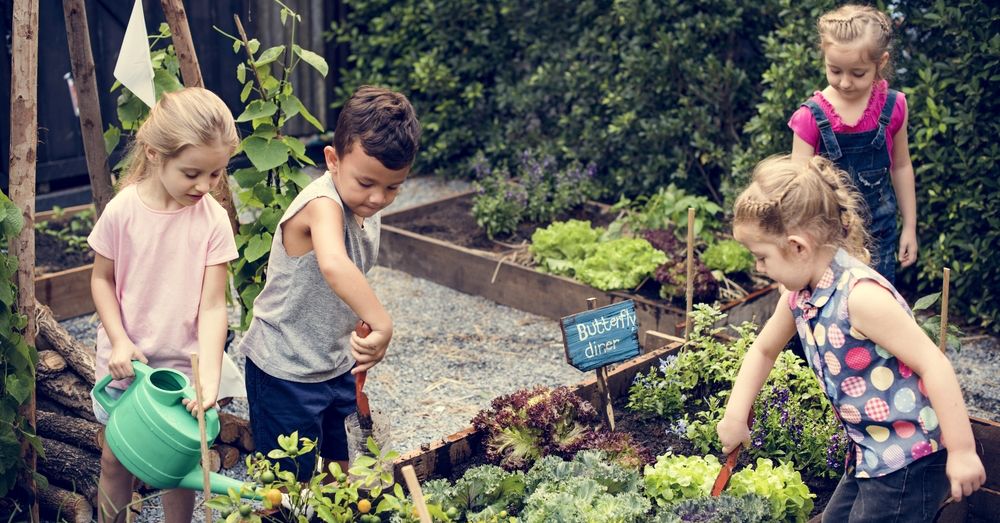 Calendario de siembra: qué plantar en julio