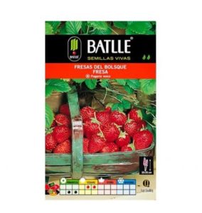 Semillas de fresas del bosque